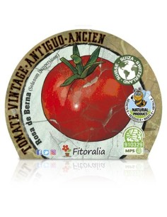 Tomate Rosa Berna (maceta 10,5 cm Ø) 2