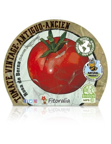 Tomate Rosa Berna (vaso de 10,5 cm Ø)