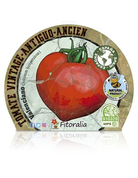 Tomate Valenciano (maceta 10,5 cm Ø)