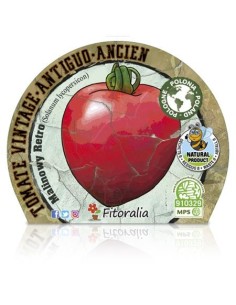 Tomate Malinowy Retro (maceta 10,5 cm Ø) 2