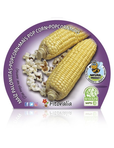 Maiz para palomitas (maceta 10,5 cm Ø)