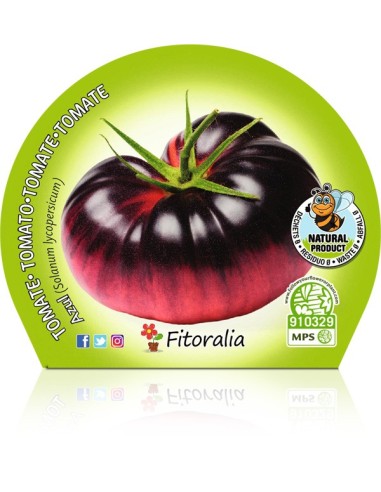 Tomate azul (maceta 10,5 cm Ø)