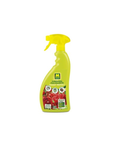 Pistola Fungicida polivalente Masso Garden (750 ml)