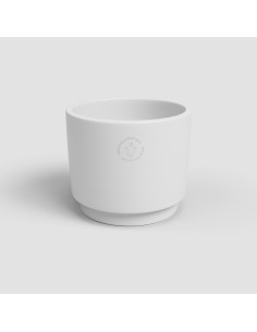 Test de cerámica Echo 2