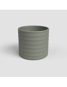 Test petit Kaktus