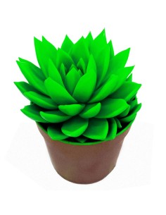 Echeveria puntas verdes (maceta 12 cm ø)