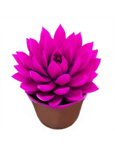 Echeveria puntas rosas (maceta 12 cm ø)