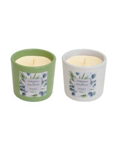 Vela anti mosquitos com citronela EUCALIPTUS (40 horas)