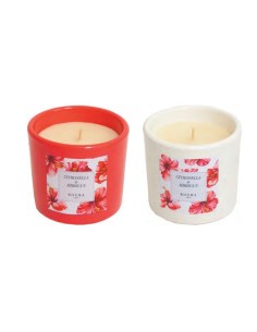Vela anti mosquitos con citronela HIBISCUS (40 horas)