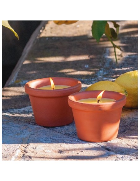 Vela anti mosquitos con citronela BASIC (10 horas)
