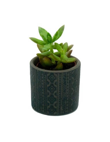 Vaso de cerâmica Cubs (vaso 7 cm ø)
