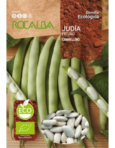 Llavor mongeta Cannellino (ecológic)