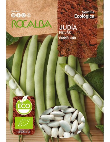 Llavor mongeta Cannellino (ecológic)