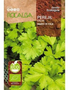 Semilla perejil gigante de Italia (ecológica)