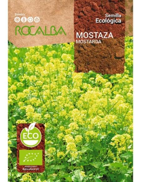 Llavor mostassa (ecológic)
