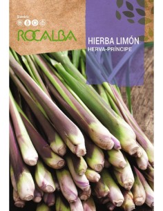 Llavor herba llimona o Cymbopogon citratus
