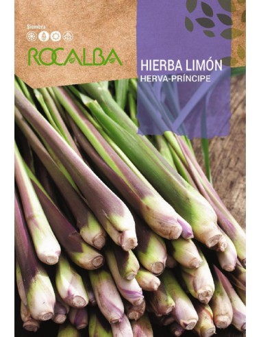 Semilla hierba limon o Cymbopogon citratus