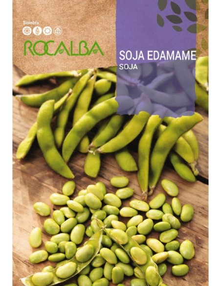 Semente soja