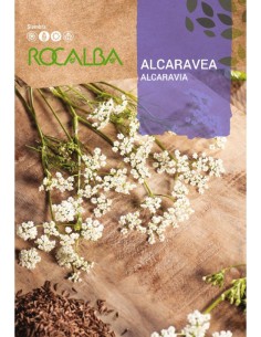 Semilla alcaravea