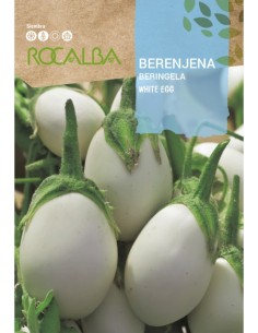 Llavor albergina blanca White egg