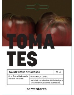 Semilla tomate Negro de Santiago (tradicional gallego)