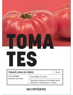 Semilla tomate Avoa de Osedo (tradicional gallego)