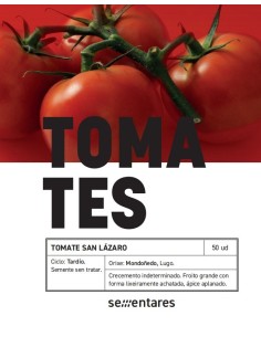 Semilla tomate San Lazaro (tradicional gallego)