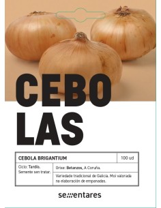 Semente de cebola Brigantium (tradicional galego)