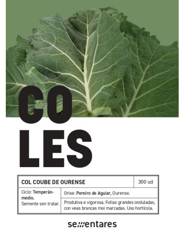 Semente de coube de Ourense (tradicional galego)
