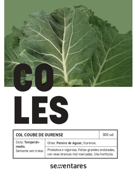 Semilla col coube de Ourense (tradicional gallega)