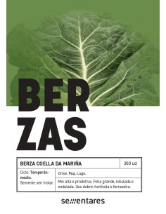 Semilla berza Coella da Mariña (tradicional gallega)