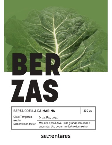 Semilla berza Coella da Mariña (tradicional gallega)