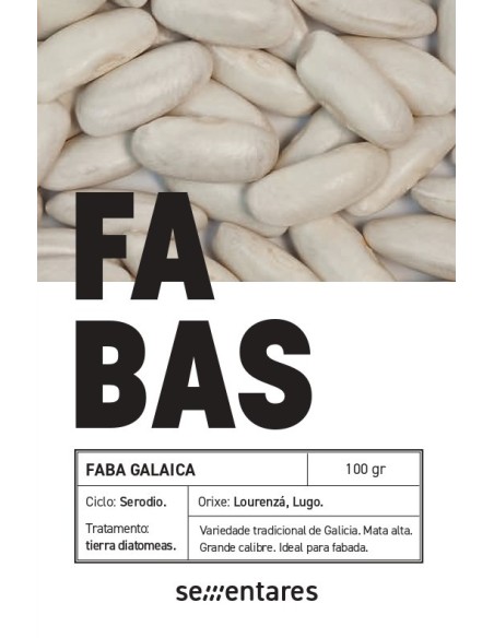 Llavor mongeta Galaica (tradicional gallec)