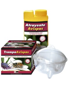 Trampa + cebo avispas Masso