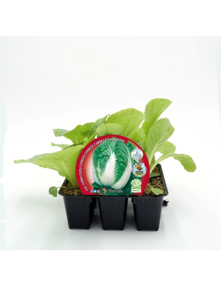 Abono Catus fertiberia