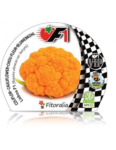 Mudas de couve-flor laranja híbrido (6 unidades)