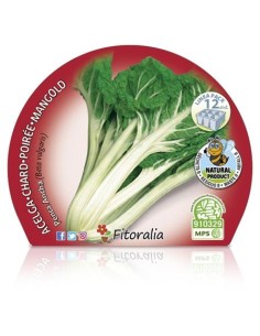 Esquadrão Green Chard (12 unidades) 2