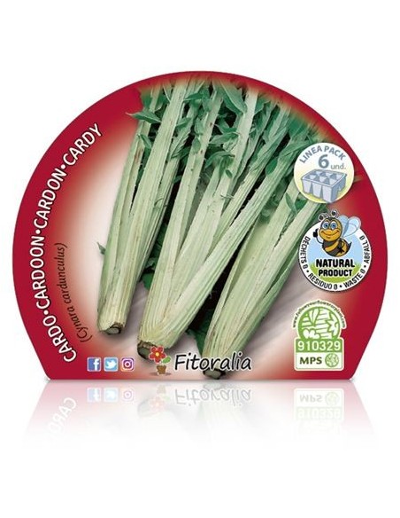Planter card o herbacol (6 unitats)