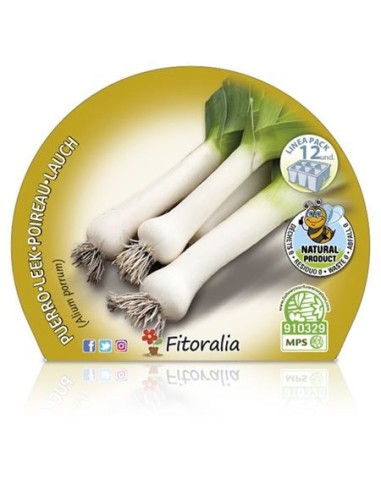 Planter porro ecològic (12 unitats)