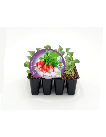 Abono Catus fertiberia