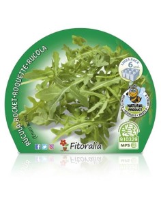 Ruca ecològica (6 unitats) 2