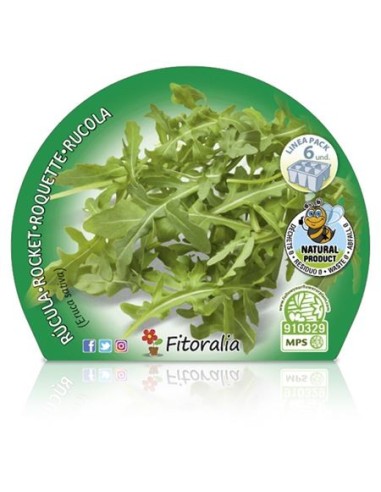 Ruca ecològica (6 unitats)