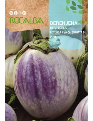 Graine d'aubergine rotonda bianca sfumata di rosa