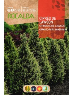 Semilla ciprés de Lawson