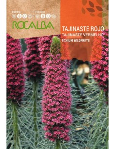 Semilla Tajinaste rojo