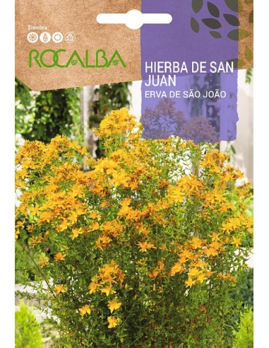 Llavor herba de Sant Joan