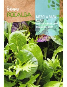 Semilla Lechuga mezcla baby leaf (ensalada asiatica)