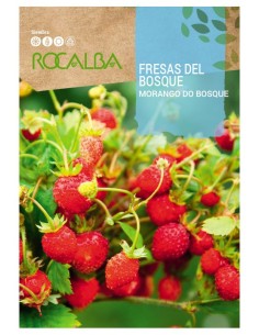 Llavor maduixa de bosc