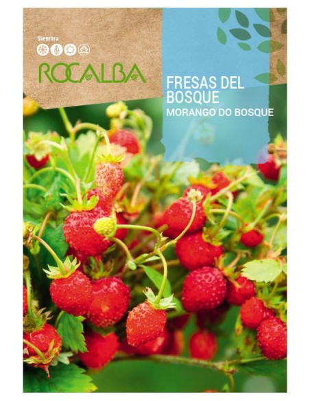 Semente de morango do bosque