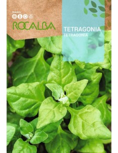 Semente de tetragonia